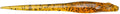 Megabass Hazedong 4 Inch