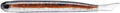 Basstrix Flash Trix Soft Plastic Minnow 4 Inch