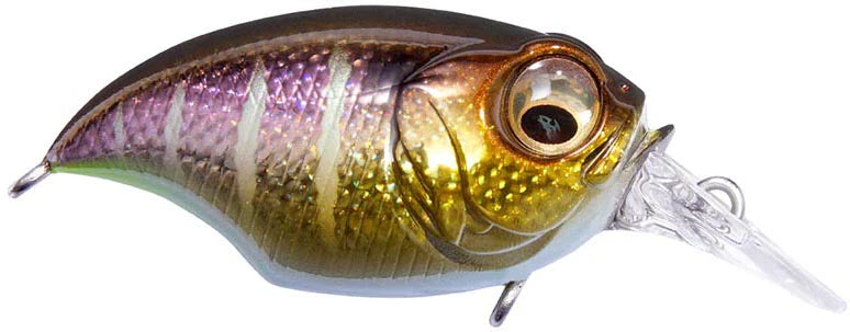 Megabass Griffon SR X Shallow Diving Crankbait 175 Inches