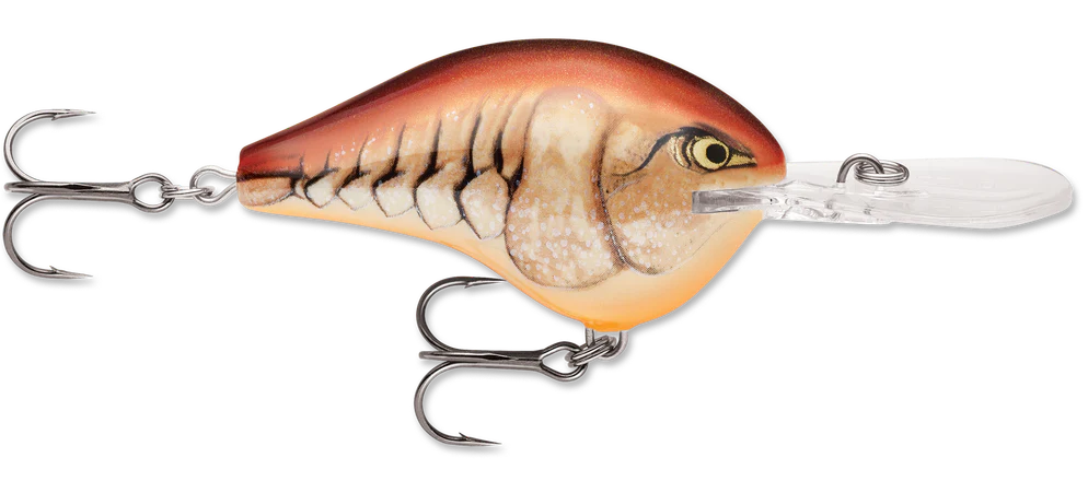Rapala DT Series Crankbait DT10