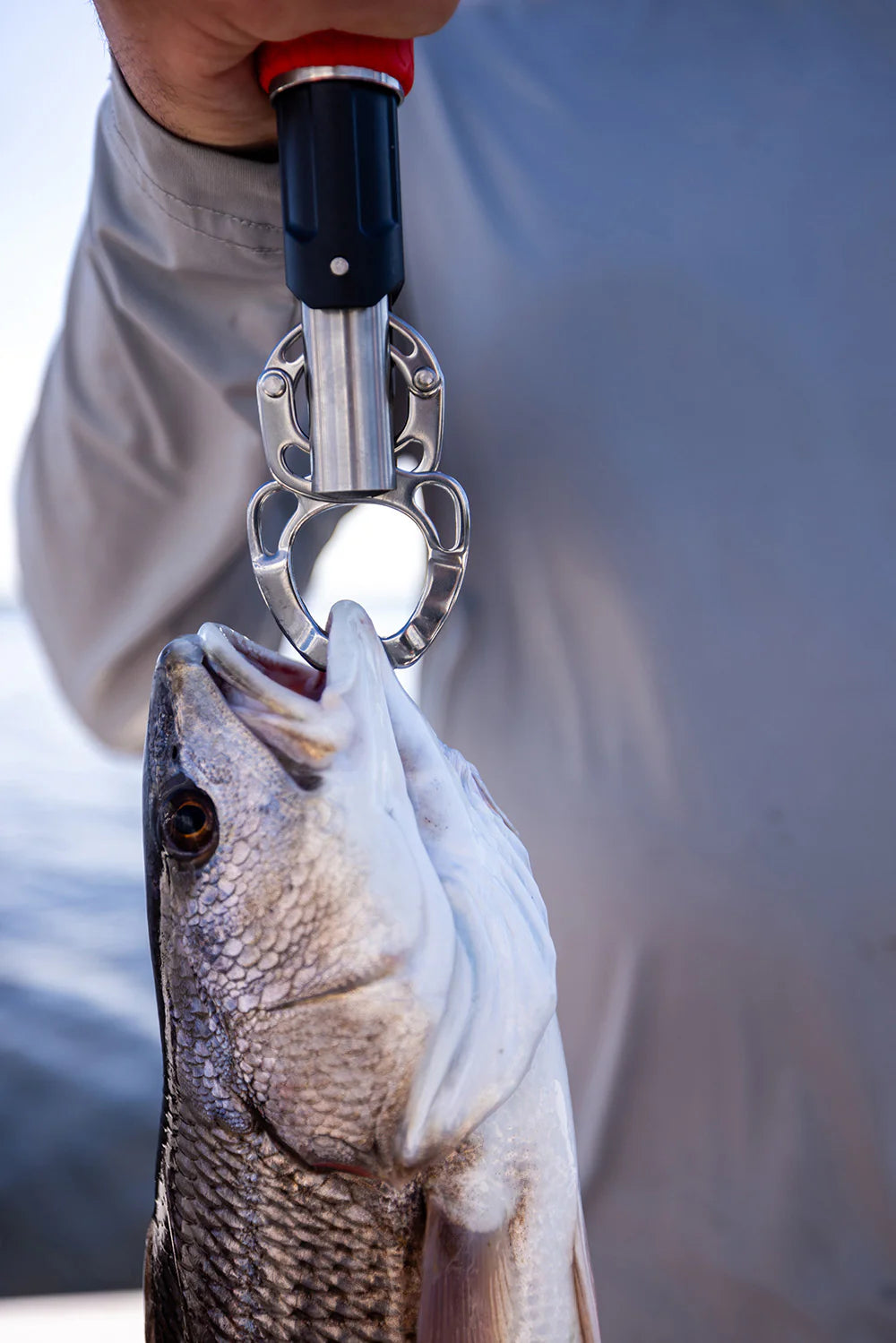 Bubba Fish Lip Grabber Scale Combo 60LB Rating