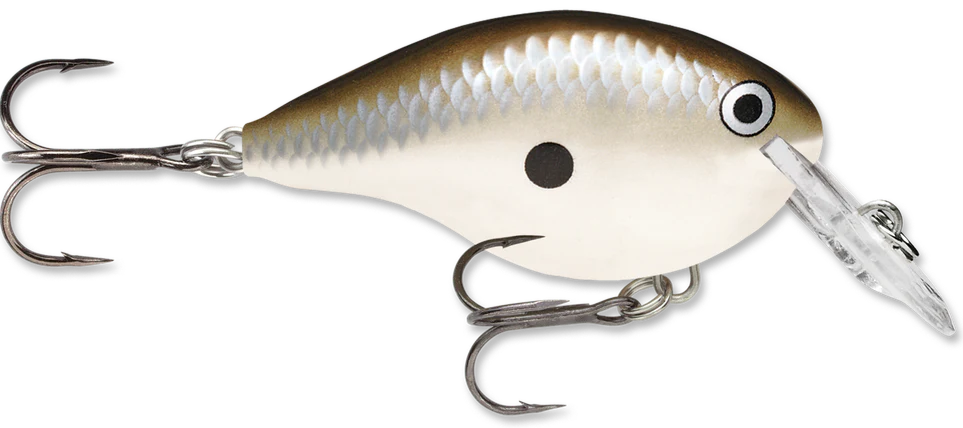 Rapala DT Series Crankbait DT4