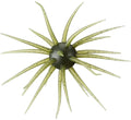 Hideup Coike 13mm Soft Plastic Urchin 1 Pack