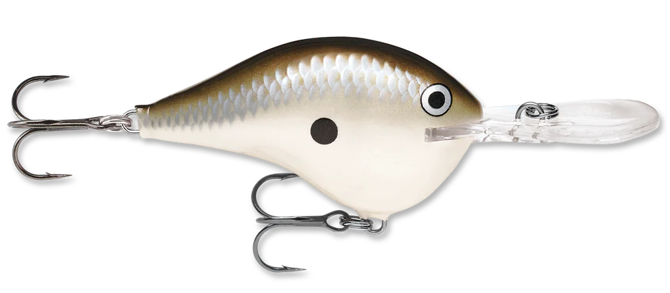 Rapala DT Series Crankbait DT10