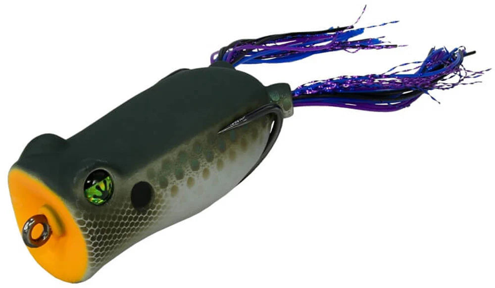The Frog Factory Boom Box 60 Hollow Body Popping Frog 24 Inch