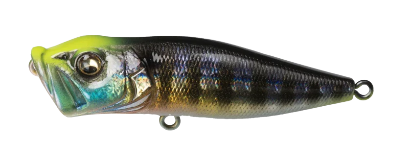 Megabass Pop X Topwater Popper