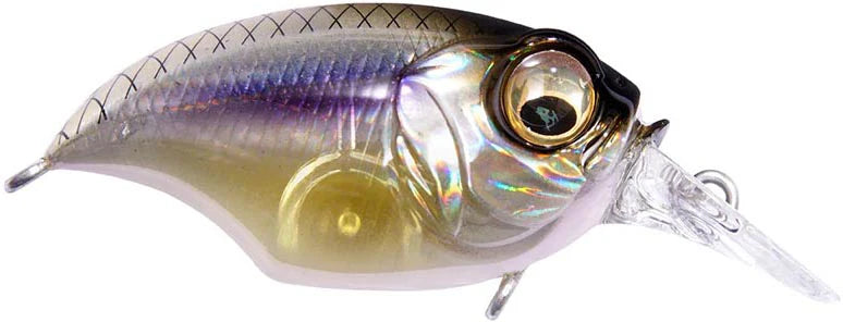 Megabass Griffon SR X Shallow Diving Crankbait 175 Inches