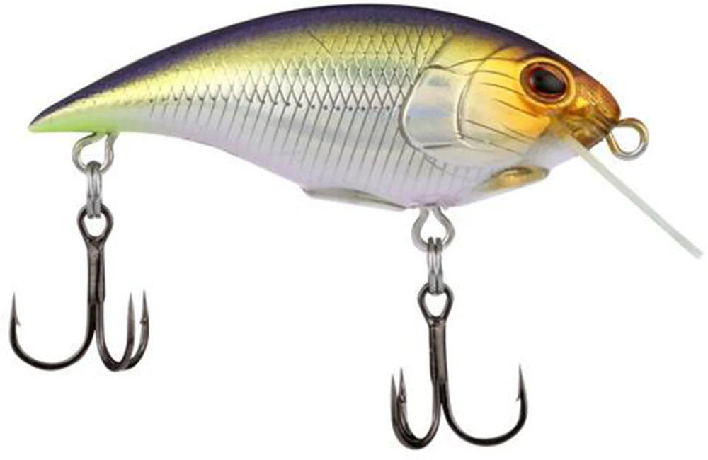 Berkley Shallow Money Badger Crankbait 26 Inch