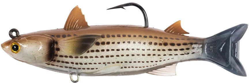 LiveTarget Mullet Bait Rigged