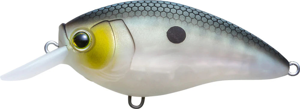Yo Zuri 3DR X Shallow Runner SR Crankbait 50mm 2 Inch