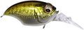 Megabass Griffon MR X Medium Diving Crankbait 175 Inches