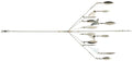 Hideup Foosha Umbrella Rig Regular