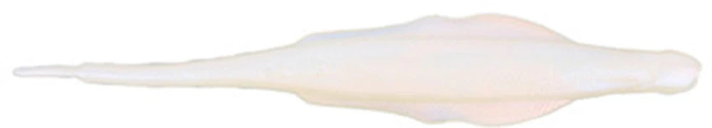 Nories 58 Inch Lady Balance Vibrating Jig Trailer 6 Pack
