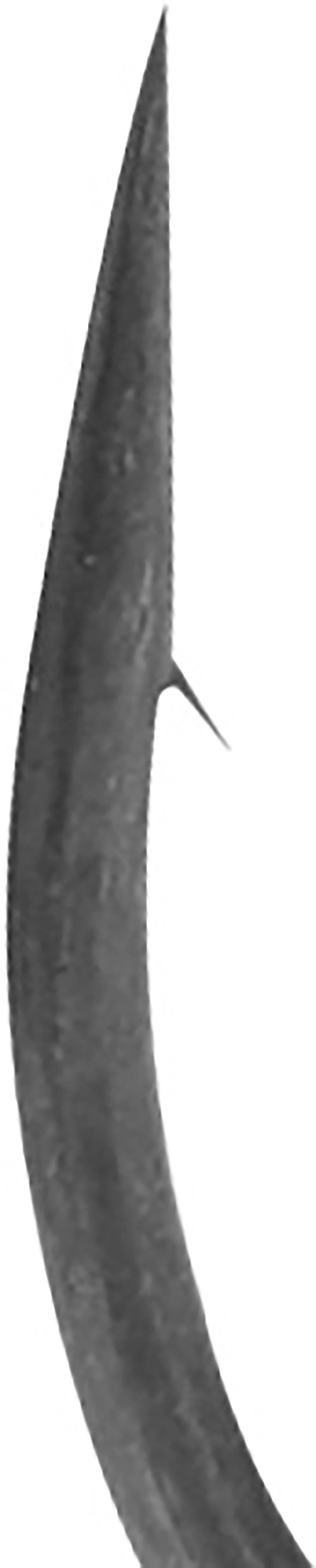 BKK Armor Point Long Shank Dropshot Hooks