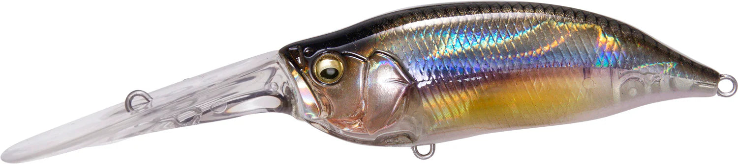 Megabass IxI Shad TX Deep Diving Crankbait