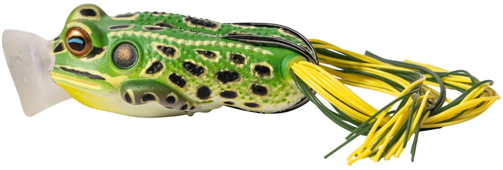 LiveTarget Hollow Body Series Popping Frog 2 Inch