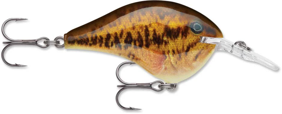 Rapala DT Series Crankbait DT6