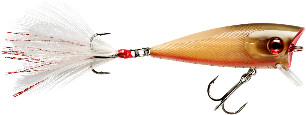 Booyah Prank 2 1 2 inch Topwater Popper
