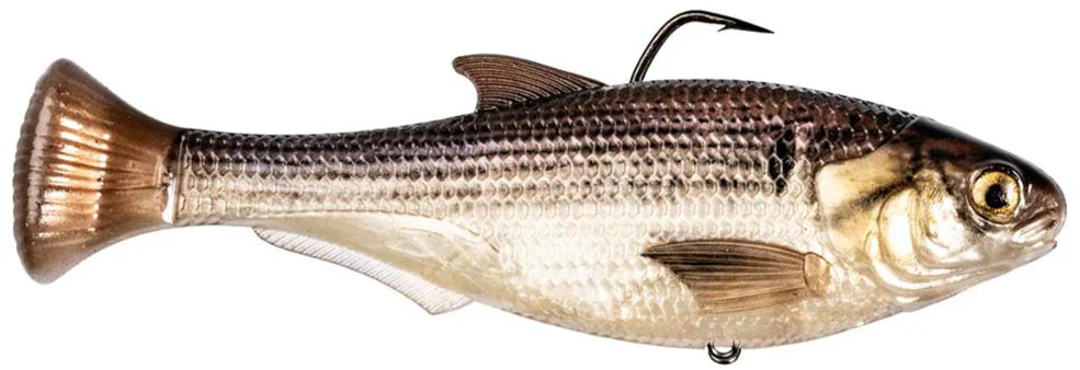 Z Man Shadtron Line Through Slow Sinking Swimbait 6 Inch