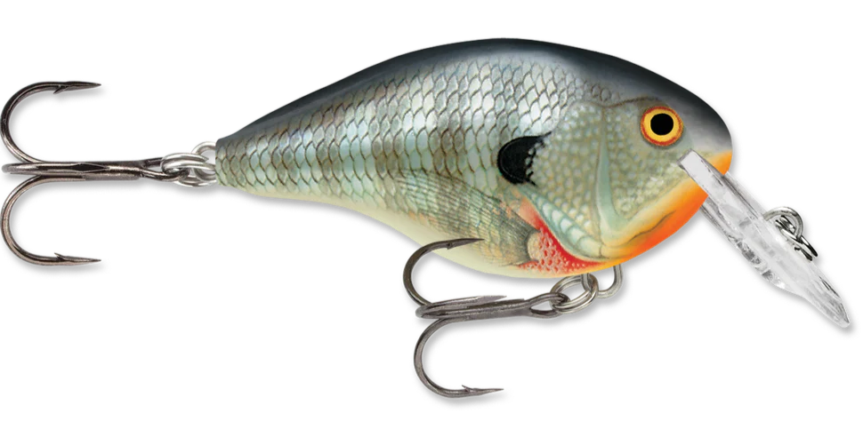 Rapala DT Series Crankbait DT4
