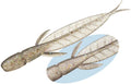 Evergreen C 4 Leech 31 Inch