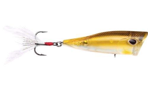 Storm Arashi Cover Pop 3 1 8 inch Topwater Popper