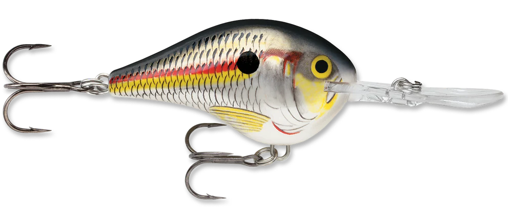 Rapala DT Series Crankbait DT10