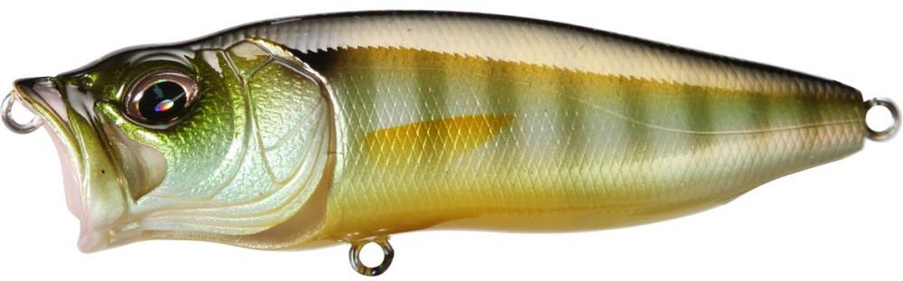 Megabass PopMax Topwater Popper