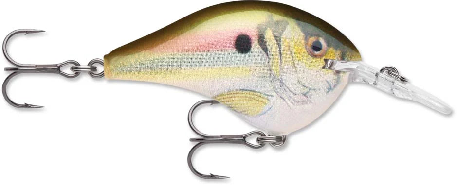 Rapala DT Series Crankbait DT6