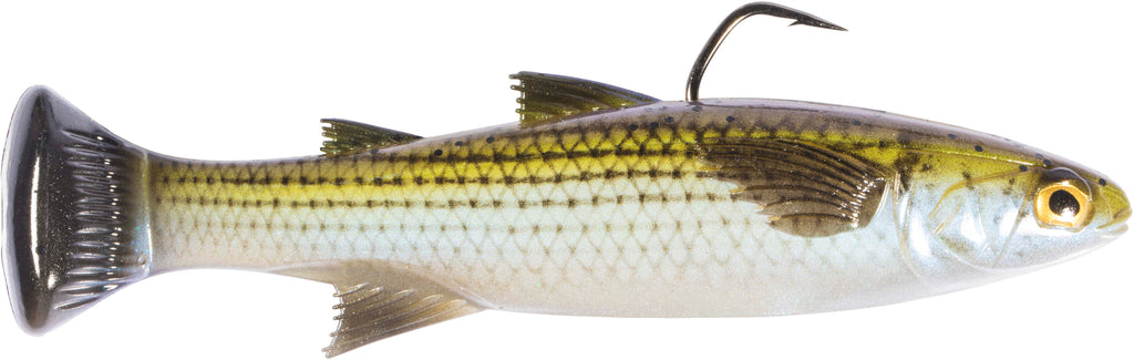 Z Man Mulletron Line Through Moderate Sinking Swimbaits