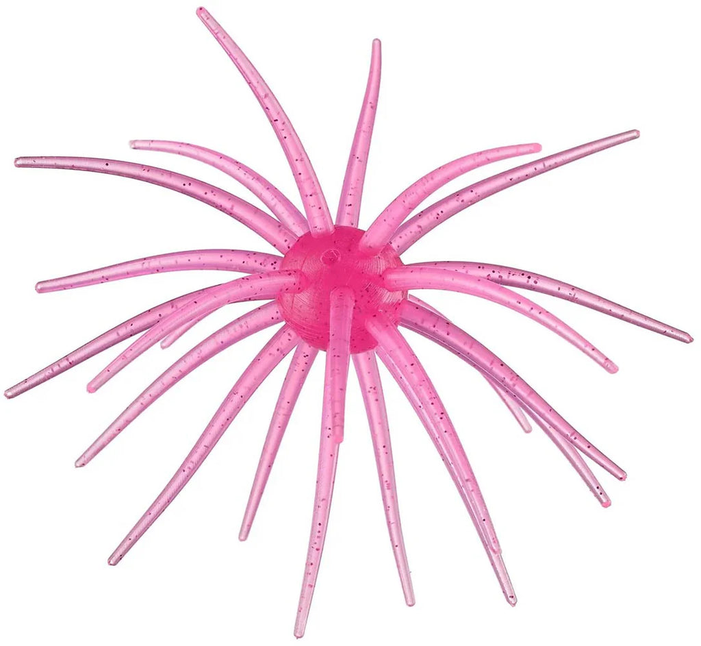 Hags Baits Prickly Pear 19mm