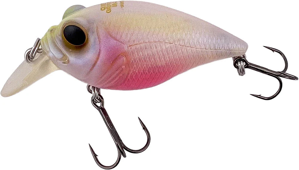 Megabass Respect Series Baby Kingyo December 2025 Release