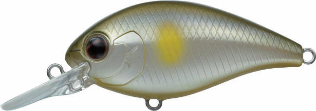 Evergreen International CR 6 Medium Diving Crankbait