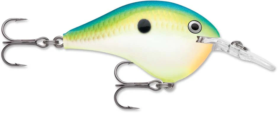 Rapala DT Series Crankbait DT6