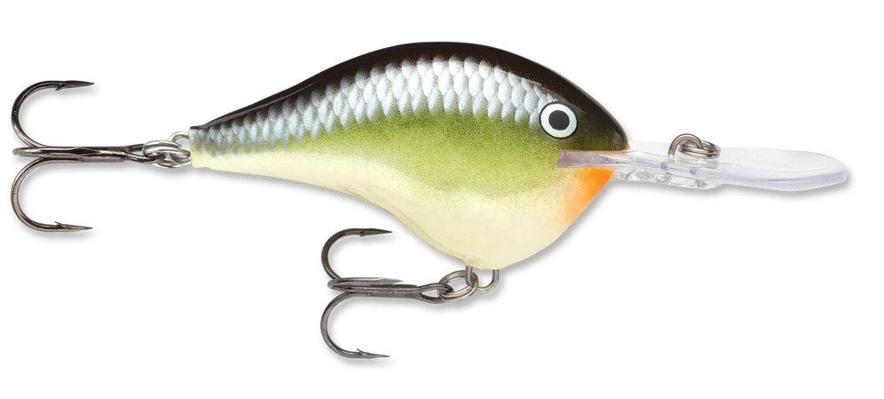 Rapala DT Series Crankbait DT10