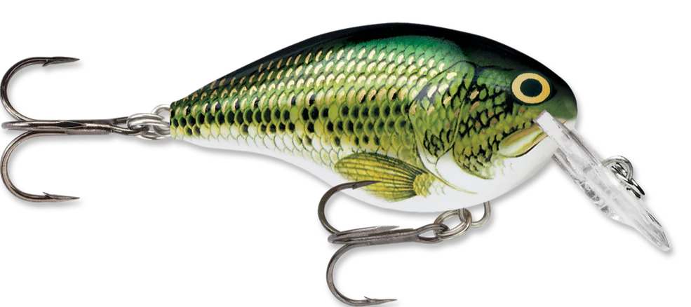 Rapala DT Series Crankbait DT4