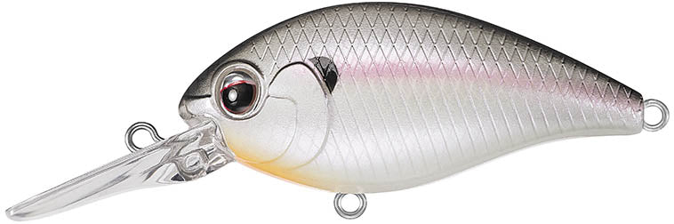 Evergreen International CR 6 Medium Diving Crankbait