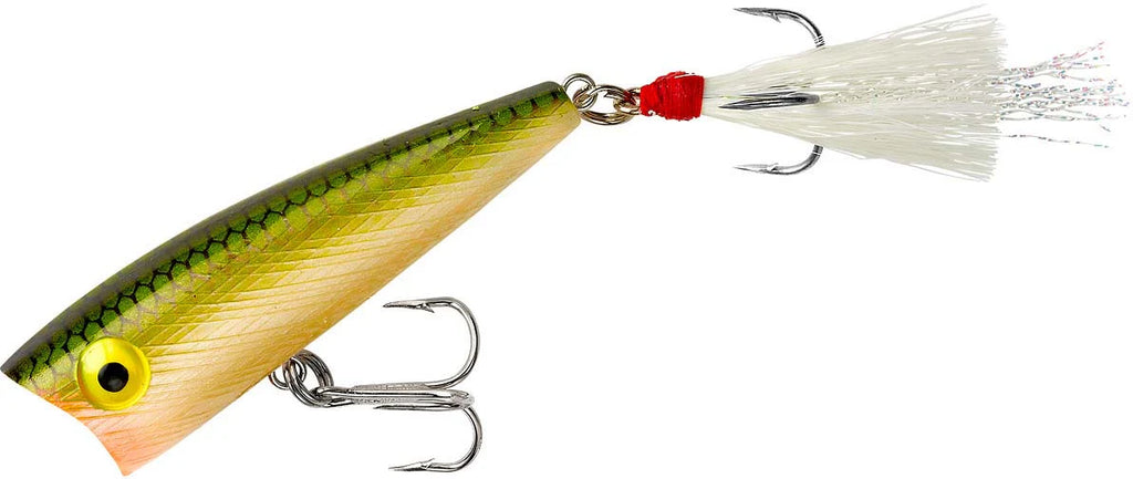 Rebel Pop R Topwater Popper