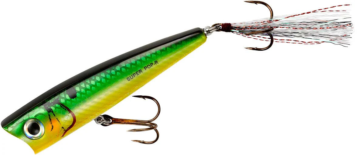 Rebel Super Pop R 3 1 8 inch Topwater Popper
