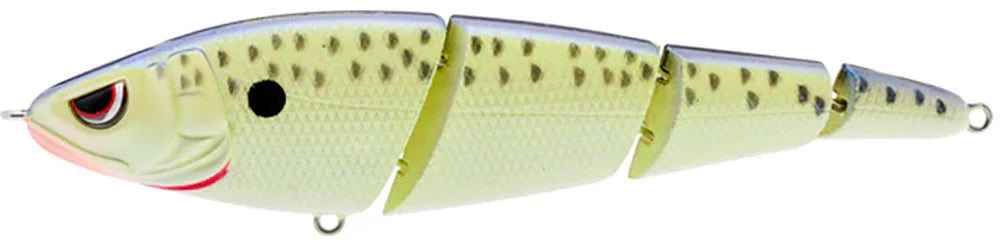 SPRO Sashimmy Swimmer 140 55 Inch
