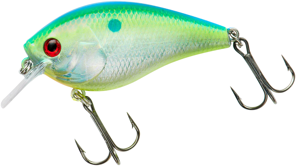 Booyah XCS Series Shallow Squarebill Crankbait