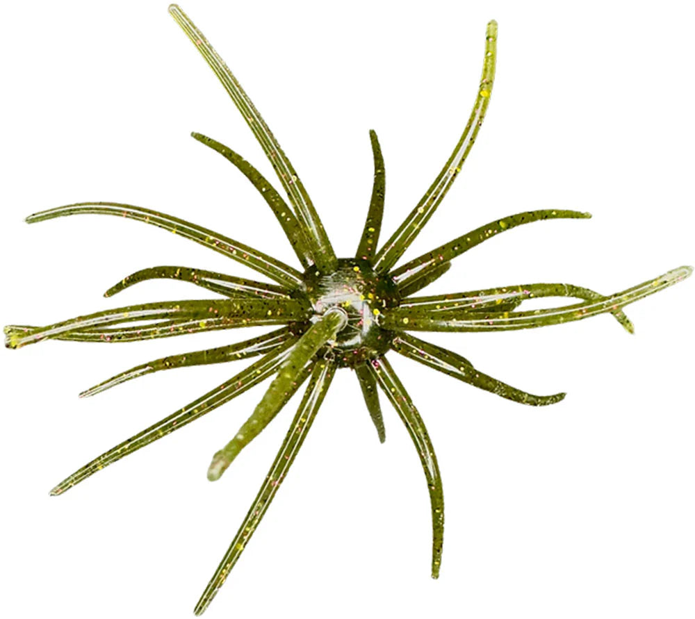 Hags Baits Prickly Pear 19mm