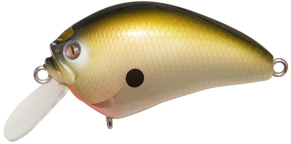 Megabass IXI Blowly Shallow Crankbait 2 Inch