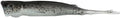 Z Man Pop ShadZ 5 inch Soft Plastic Popper 3 pack