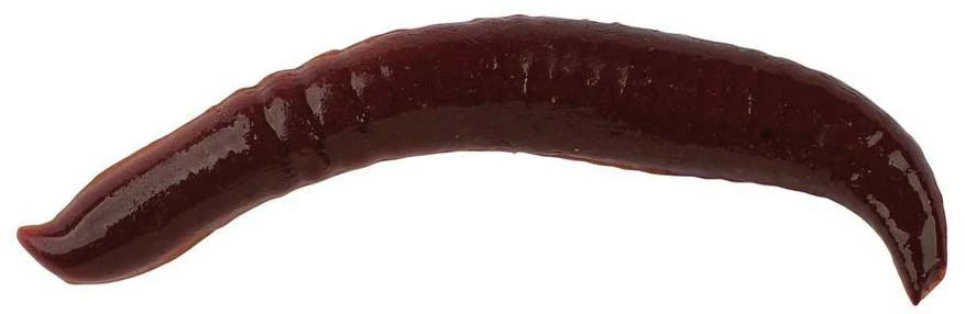 Berkley Gulp Pinched Crawler