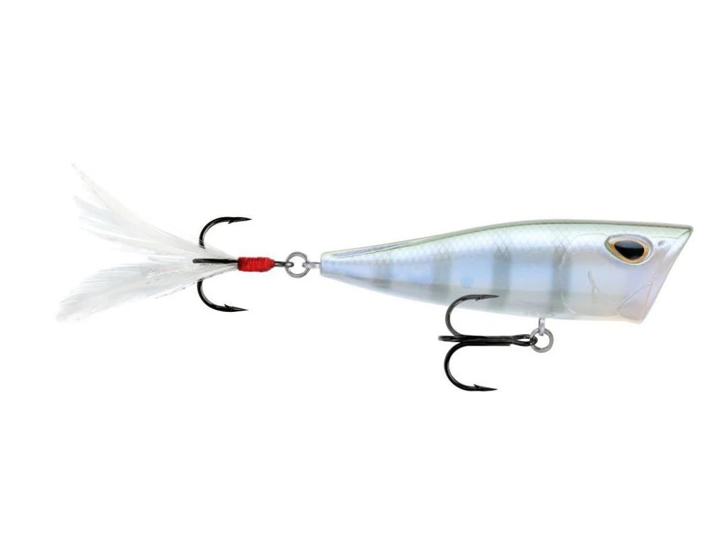 Storm Arashi Cover Pop 3 1 8 inch Topwater Popper