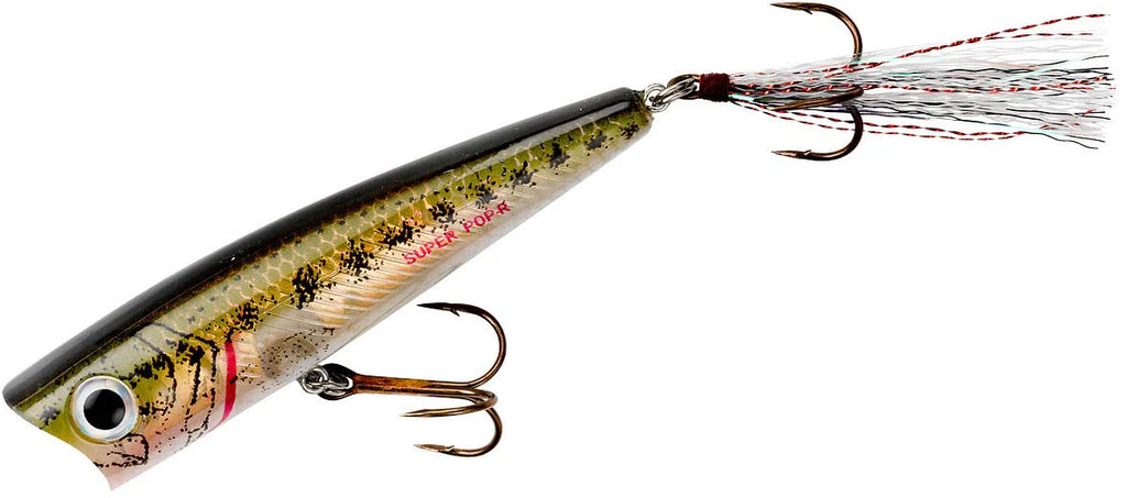 Rebel Super Pop R 3 1 8 inch Topwater Popper