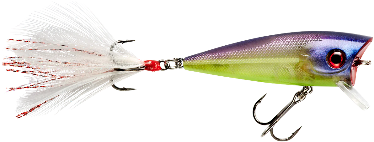 Booyah Prank 2 1 2 inch Topwater Popper