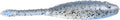Great Lakes Finesse Flat Cat 225 Inch