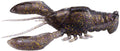 Megabass Sleeper Craw